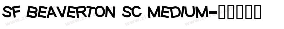 sf beaverton sc medium字体转换